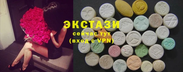 ECSTASY Белокуриха